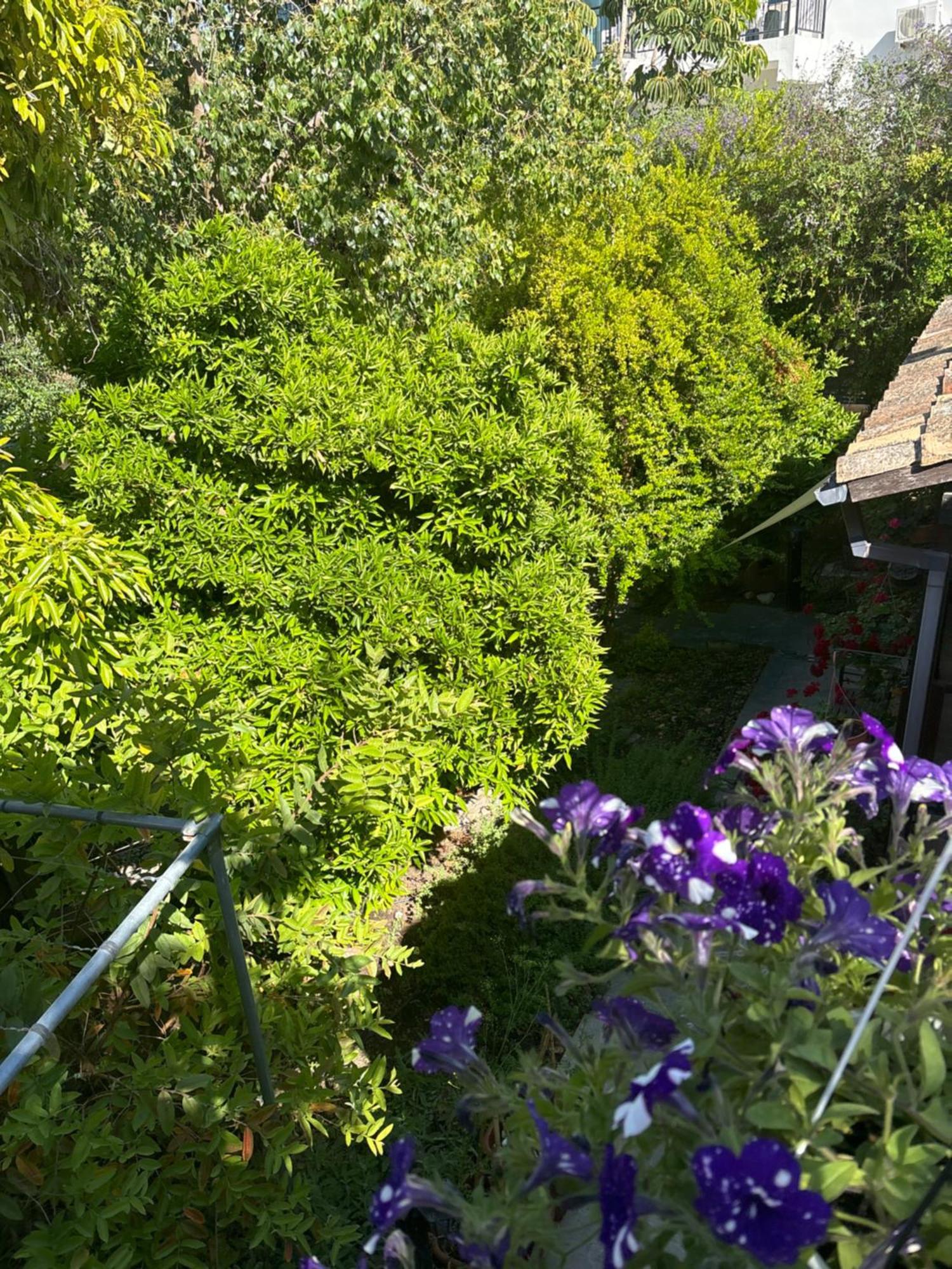 Vasilion Agrotourism Villa Polis ภายนอก รูปภาพ